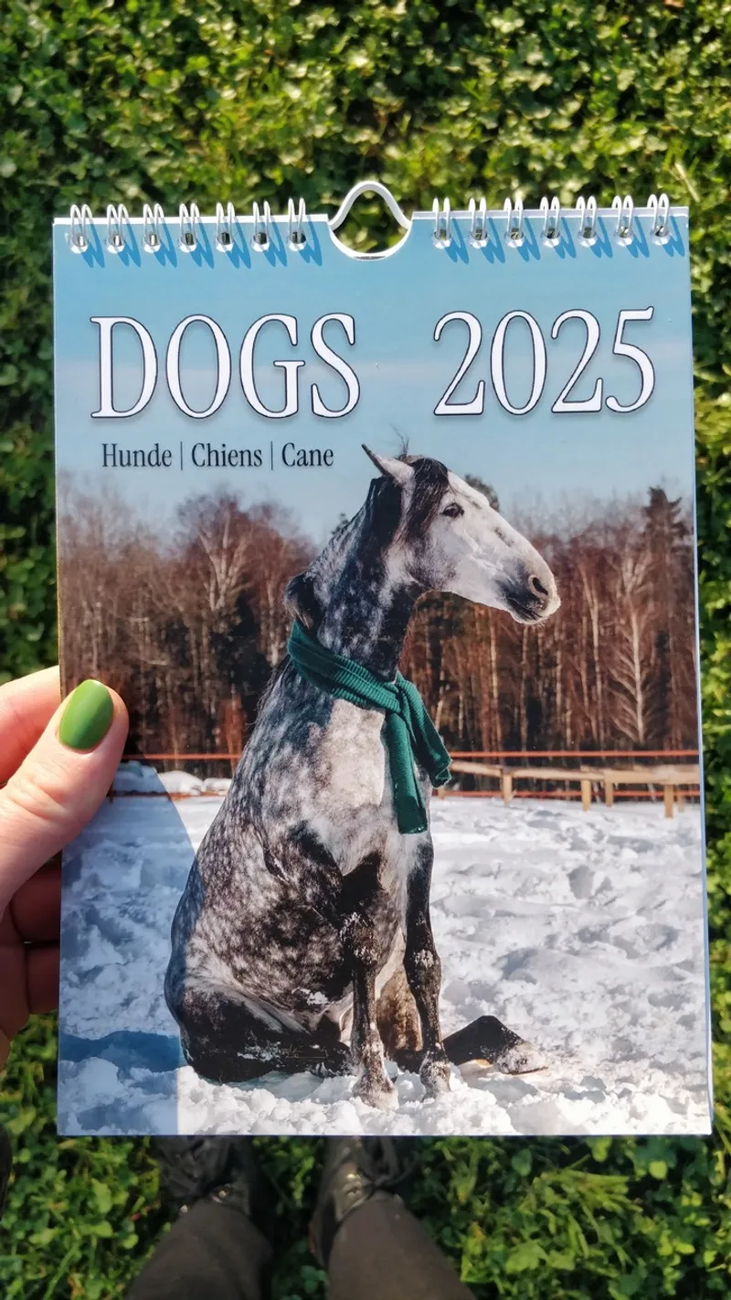 Horsedogs - Dogs 2025 Calendar